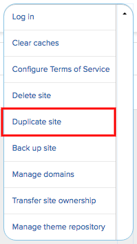 From the submenu, select the Duplicate site option.