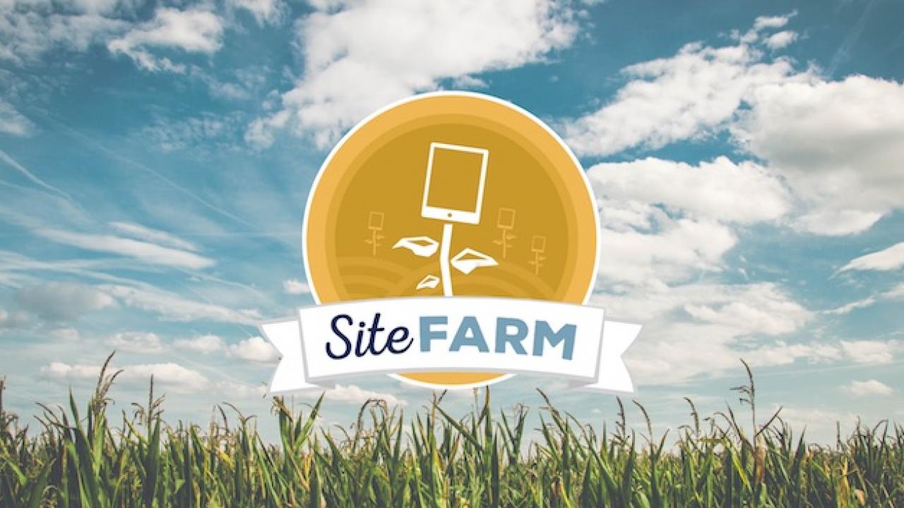 Tandem's iamge of the SiteFarm logo over a field of grass and a blue sky with clouds in the background.