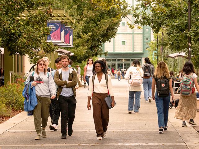 A view of various people walking along a path on campus.
