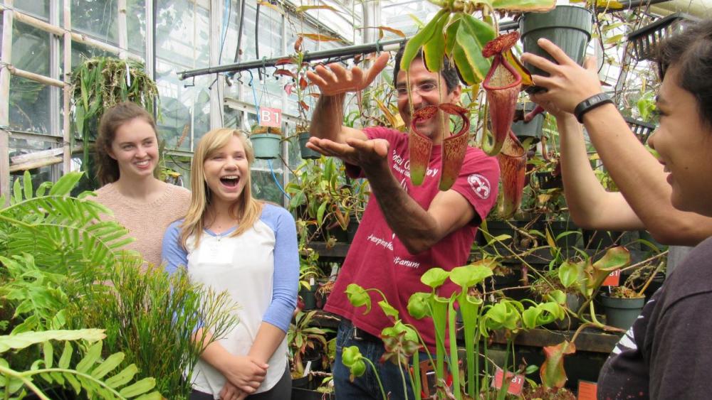 Students standing together in a garden nursery look at an overhead water irrigation system.