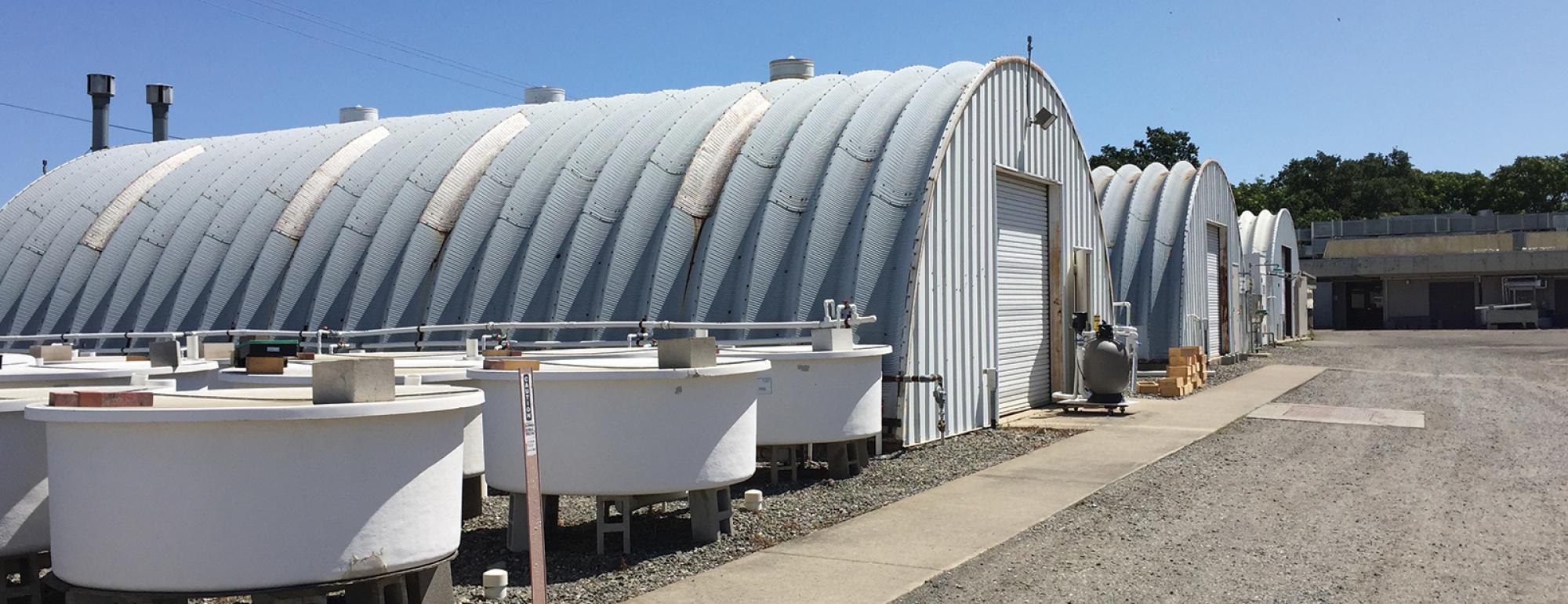 Caba Facilities at UC Davis