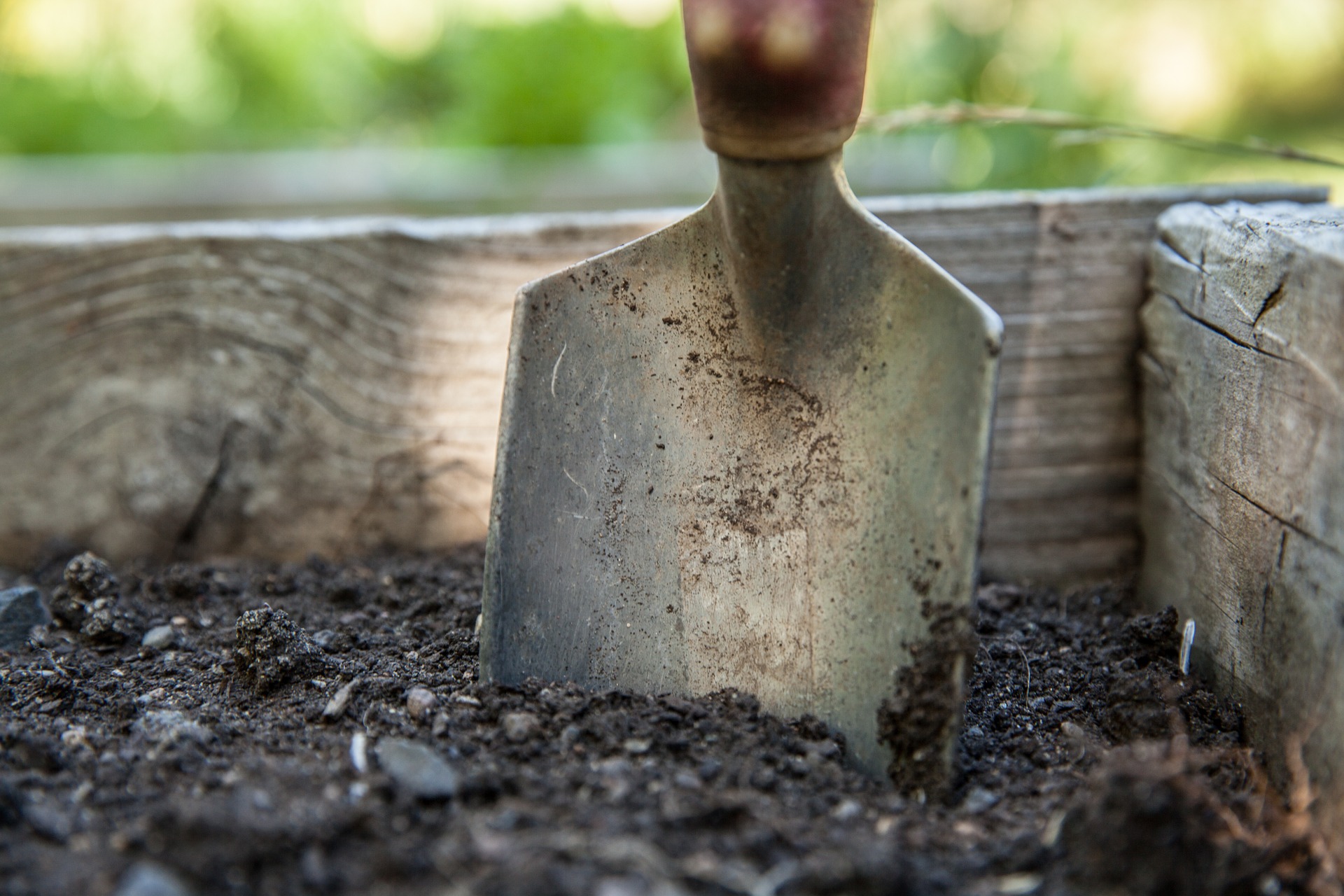 A garden trowel stuck point first in the dirt, ready for use.