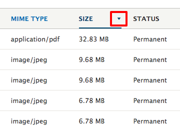 Click on the Size column title text until it displays the largest file sizes in descending order.