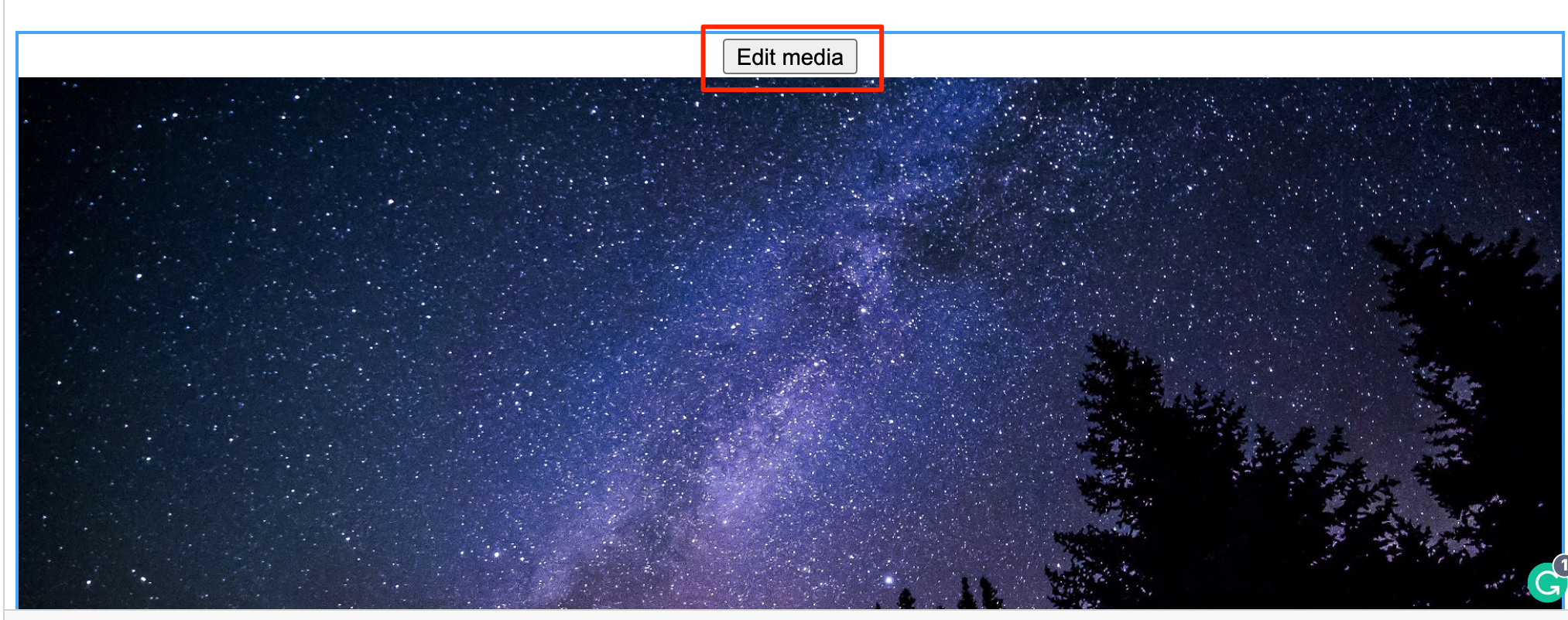Screenshot showing an image's Edit media button.