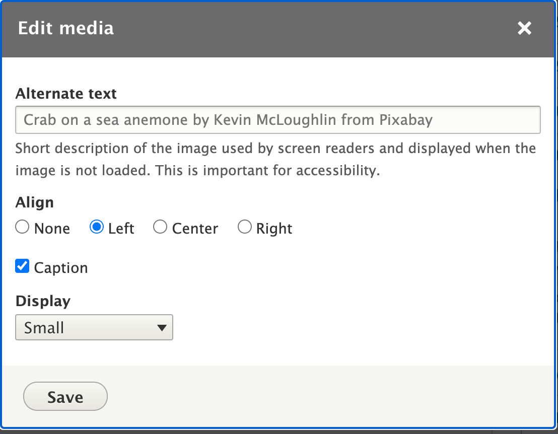 Sceenshot of the Edit media interface