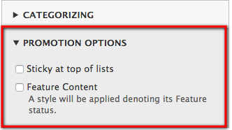 Additional options panel