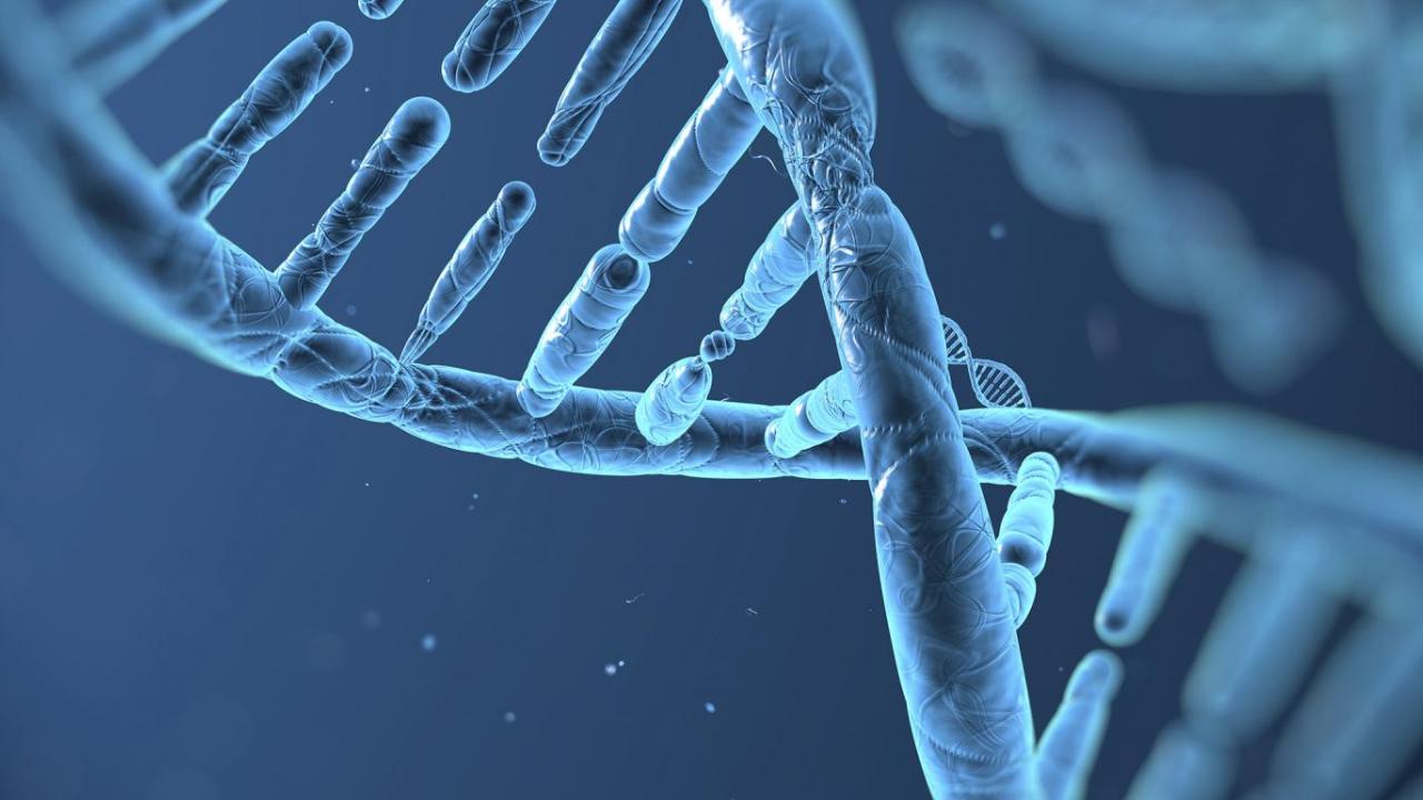 DNA helix strand