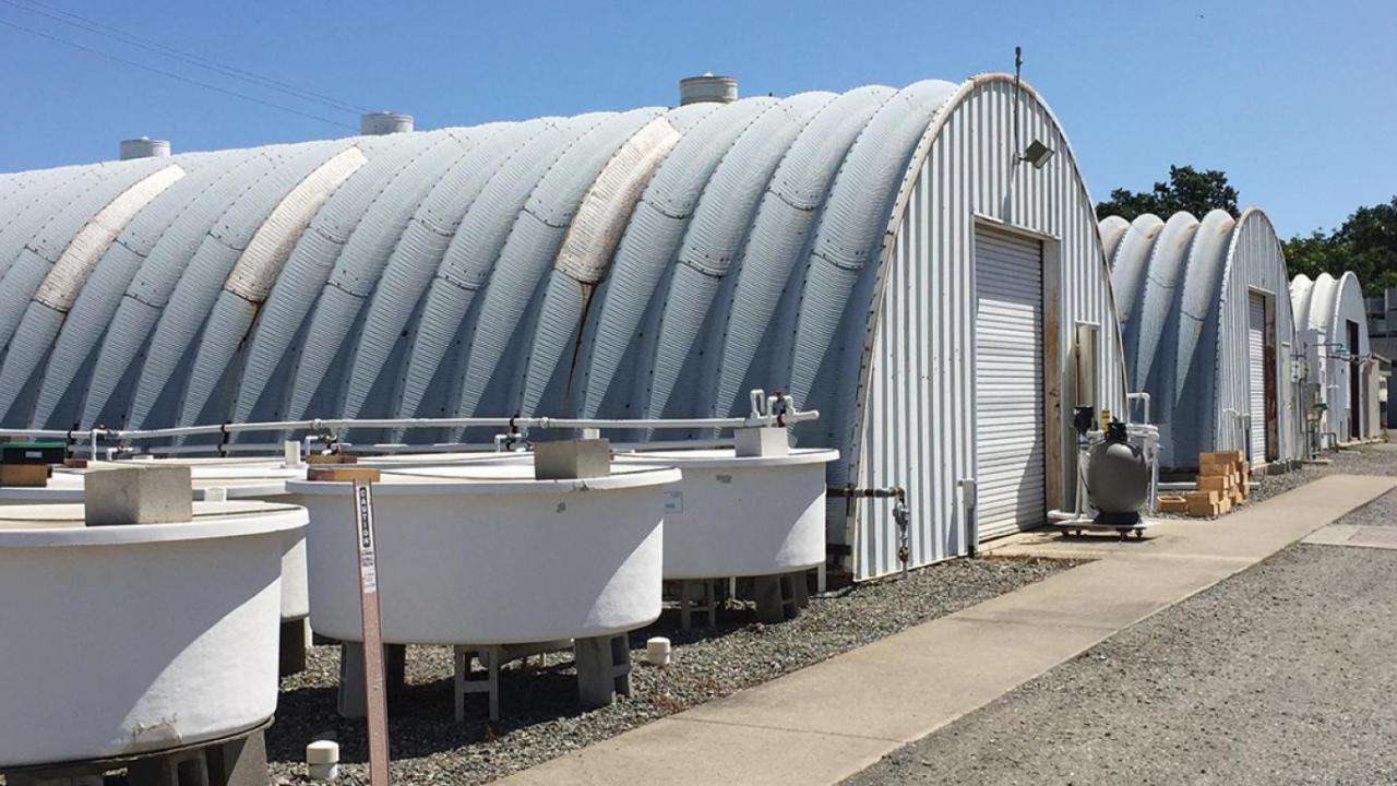 Caba Facilities at UC Davis