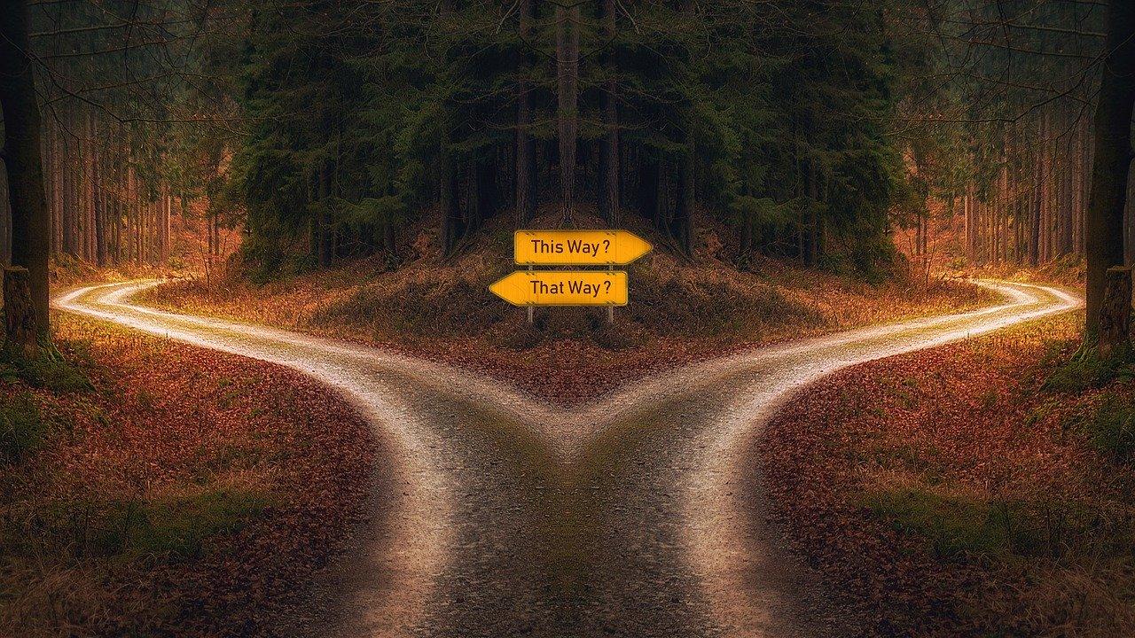 Helping you successfully change your direction. Image by PixxlTeufel from Pixabay. A road forks in two different directions around a copse of woods. Image by PixxlTeufel from Pixabay.