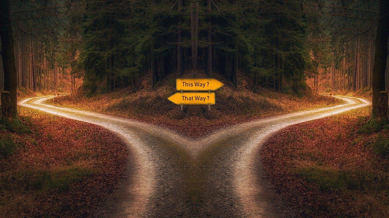 A road forks in two different directions around a copse of woods. Image by PixxlTeufel from Pixabay.