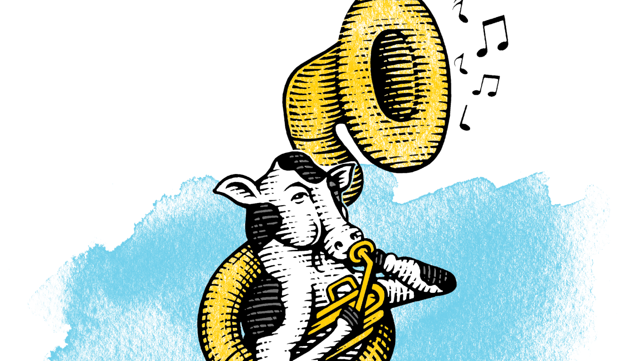 A cow with a sousaphone from the Steven Noble illustration collection at UC Davis