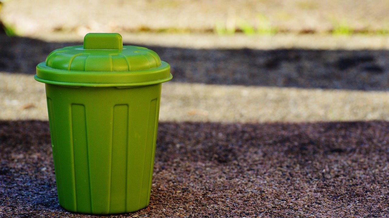 A green trash can with a lid sits off to one side in a shady space. Picture by Alexas Fotos on Pixabay.