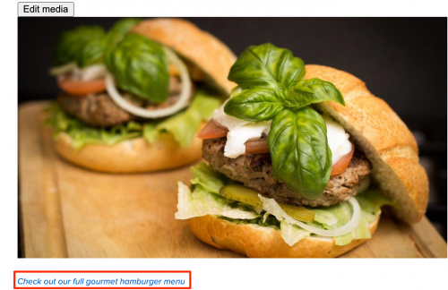 A screenshot of an image viewed on a page in Edit mode with a link embedded in a caption.