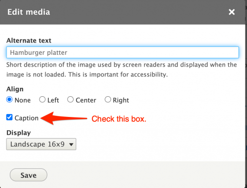 A screen shot of the Edit Media dialogue box showing the Caption box checked.