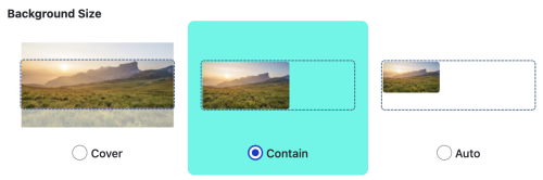 A screenshot of the three Background image size options, including cover, contain, and auto sizing.