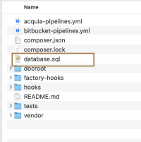 Database file