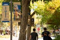 "Champion Aggies" campaign banners on light poles