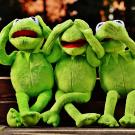 Three Kermit the Frog dolls sitting in the 'see no evil, hear no evil, speak no evil' pose.