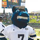 UC Davis' mascot Gunrock posing in a jersey at a campus football game. (Photo: Karin Higgins/UC Davis)